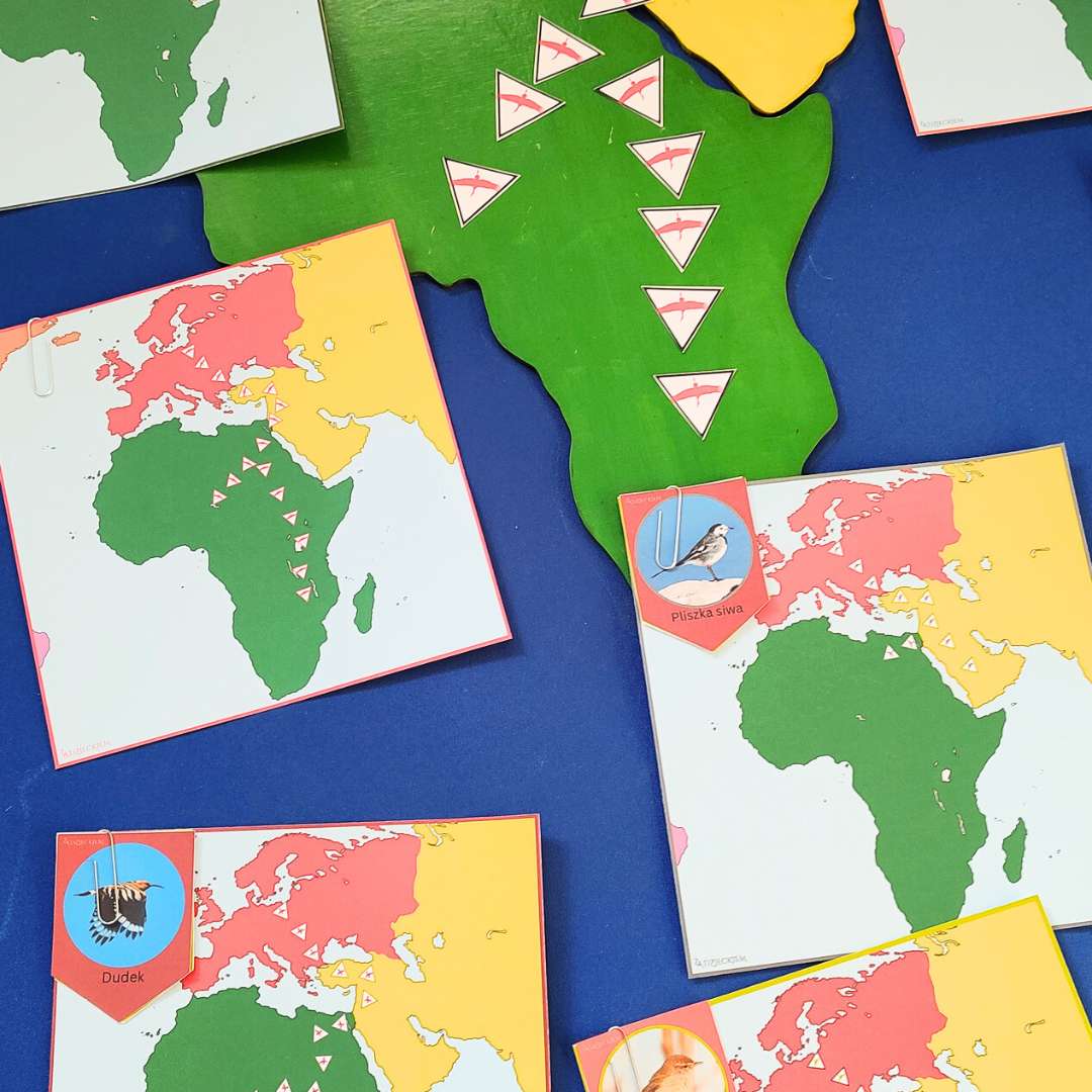 Podniebne wędrówki - opowieści, kalendarz i trasy migracji ptaków - obrazek 4