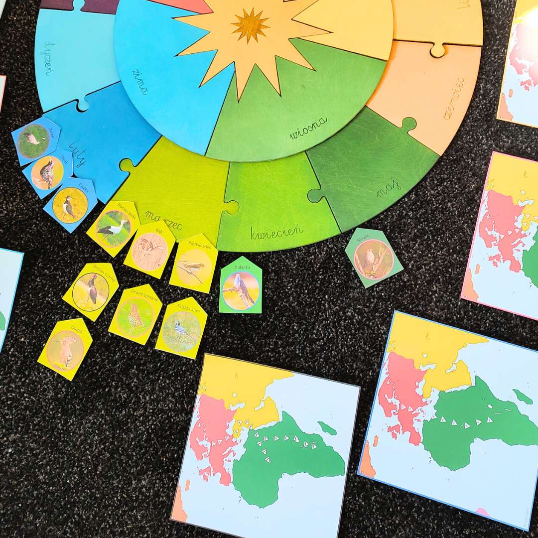 Podniebne wędrówki - opowieści, kalendarz i trasy migracji ptaków - obrazek 2