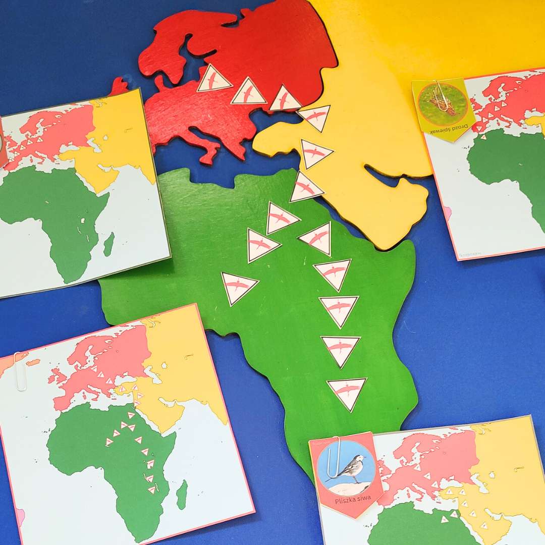 Podniebne wędrówki - opowieści, kalendarz i trasy migracji ptaków - obrazek 3