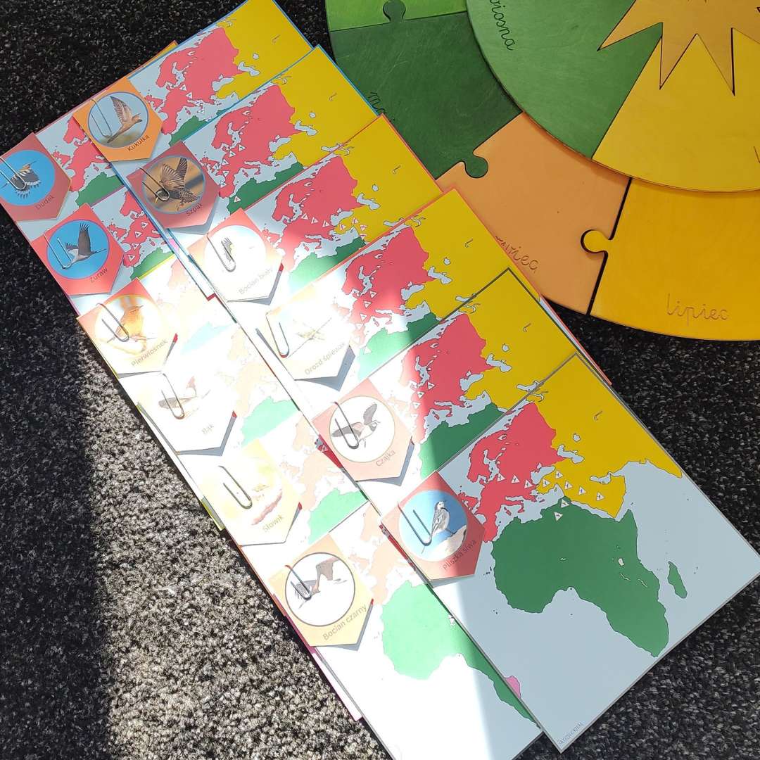 Podniebne wędrówki - opowieści, kalendarz i trasy migracji ptaków - obrazek 5