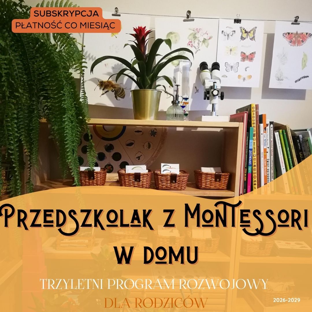program przedszkolny