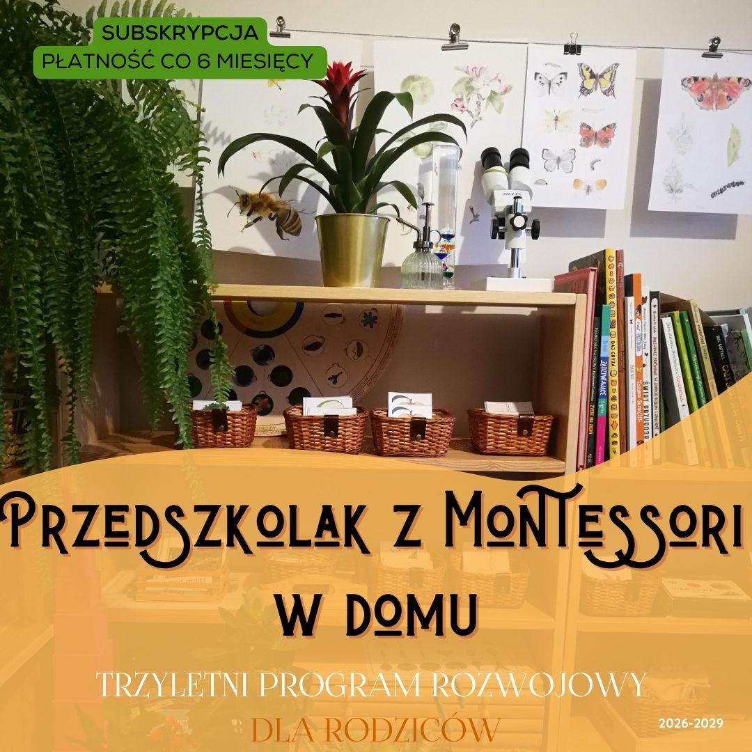 przedszkolak z montessori w domu