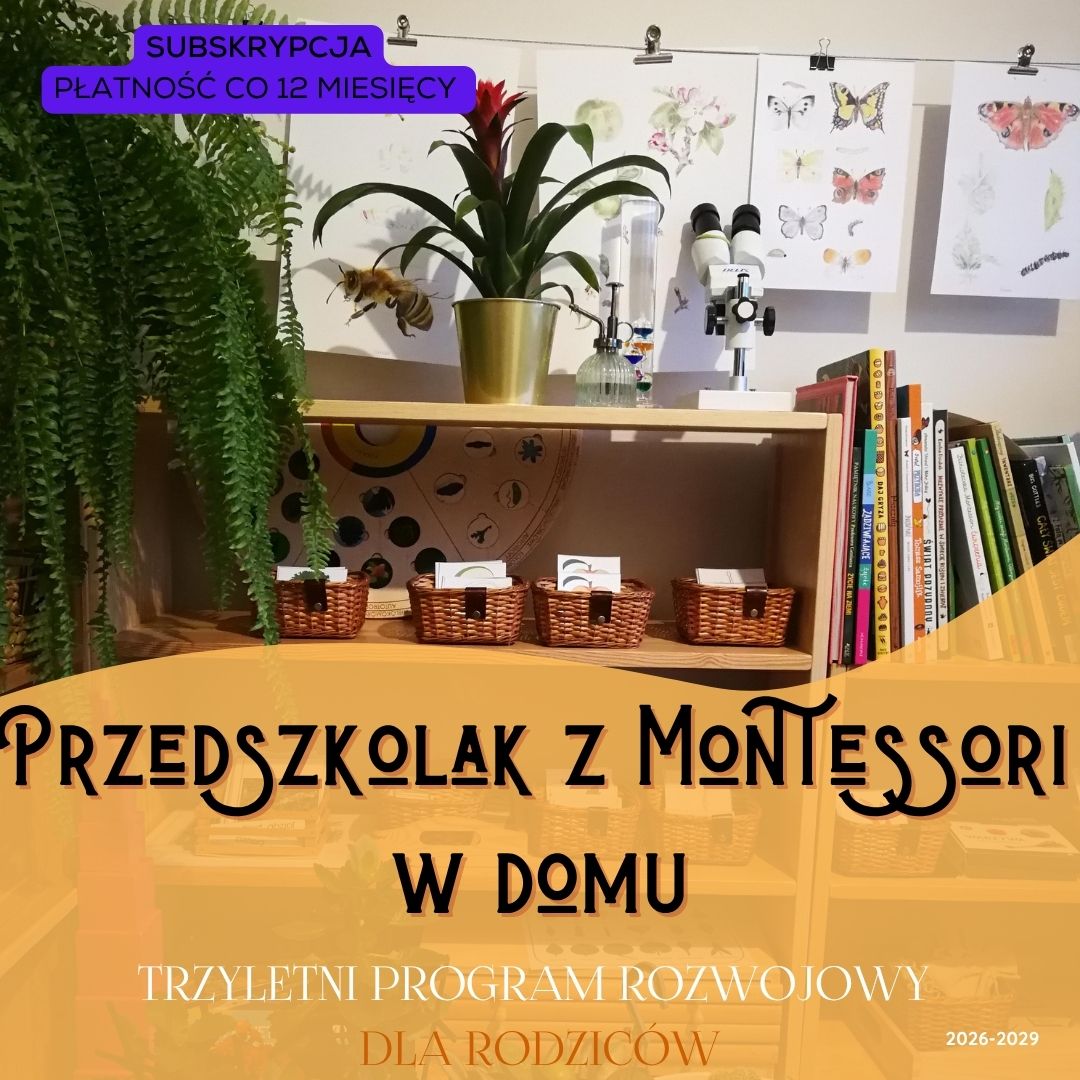 przedszkolak z montesori